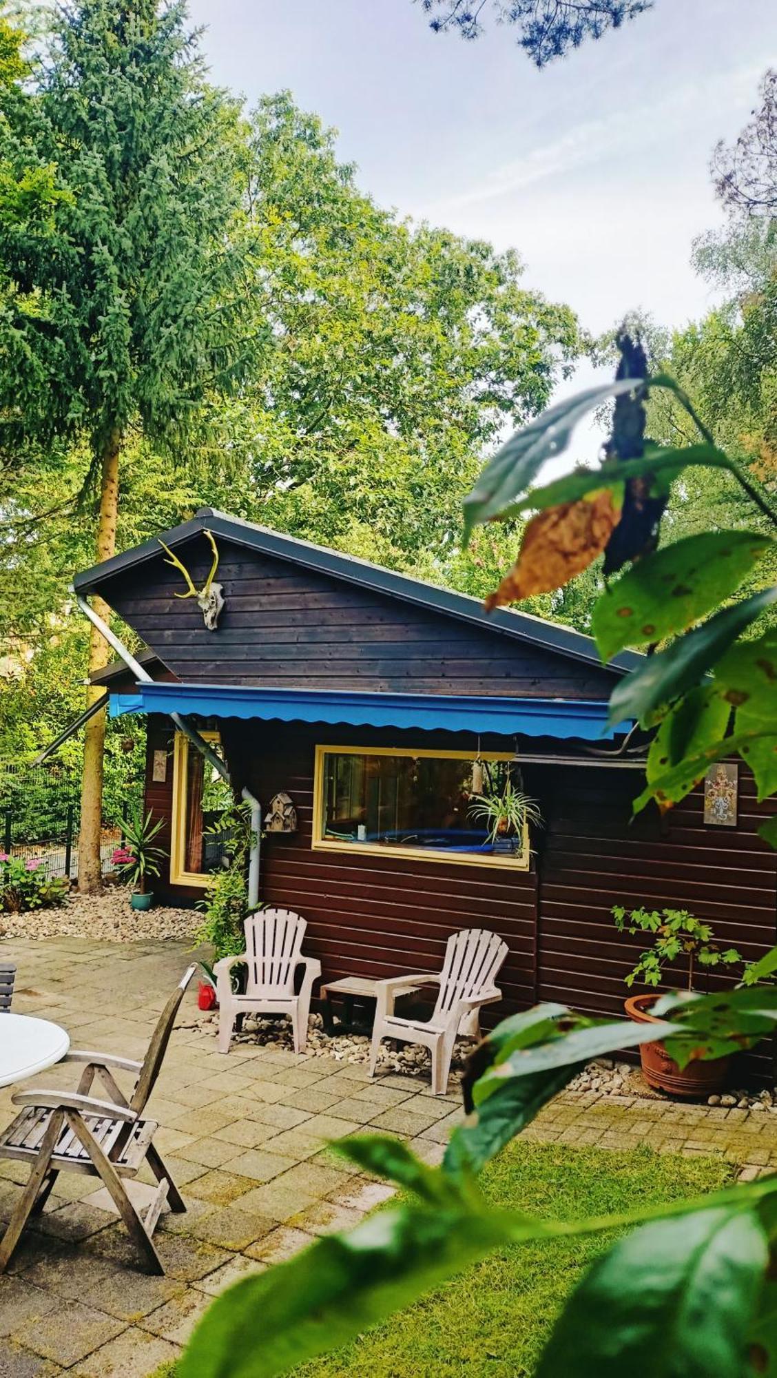 Het Houten Boshuisje Hattemerbroek Exterior photo